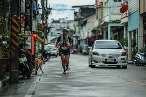 BIB: 
                            <button type="button" onclick="openModal(26349676)" class="btn btn-primary btn-sm float-right btn-popup" data-toggle="modal" data-target=".modal-high-quality">
                        <i class="fas fa-shopping-cart"></i> Add to Cart
                    </button>
                                            <button type="button" onclick="isThisMe(26349676, true)" class="btn btn-success btn-sm float-right btn-popup btn-isme hidden" data-toggle="tooltip" data-placement="bottom" title="นี่คือรูปของคุณใช่ไหม คลิกที่นี่เพื่อเอาเข้าอัลบั้ม">
                        <i class="fas fa-plus"></i> Add to album
                    </button>
                    <button type="button" onclick="isThisMe(26349676, false)" class="btn btn-warning btn-sm float-right btn-popup btn-isnotme hidden">
                        <i class="fas fa-ban"></i> Remove from album
                    </button>